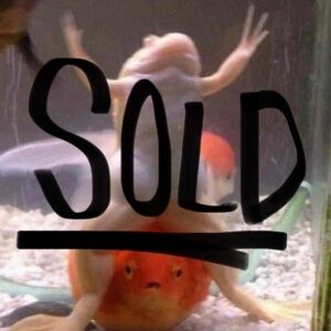 Straw Gardening Bun Hat